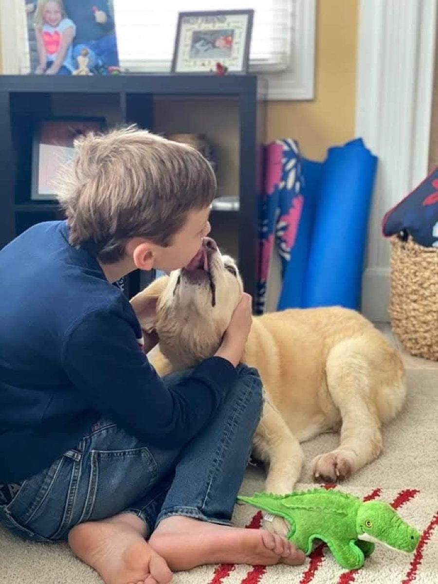 Bailey — photo 10 of 18