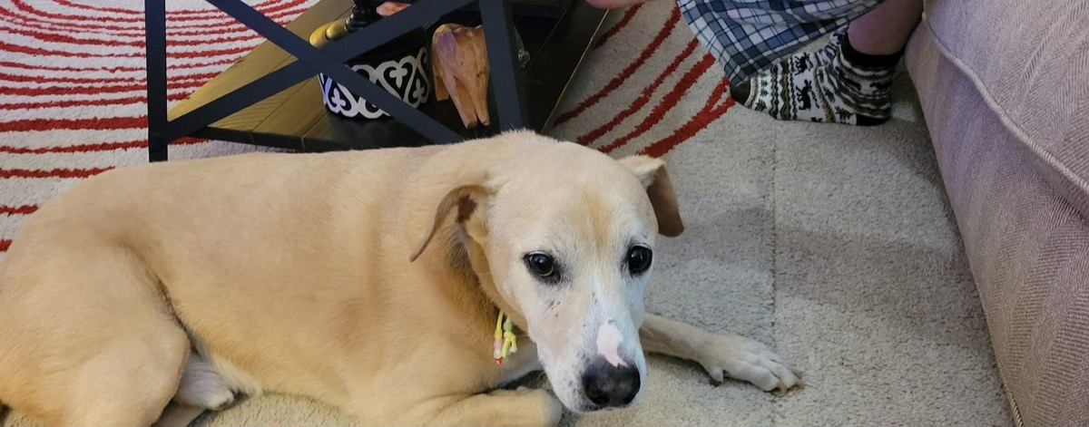 Bailey — photo 15 of 18