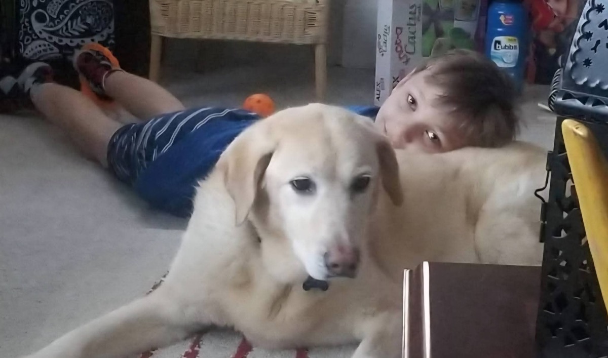 Bailey — photo 5 of 18