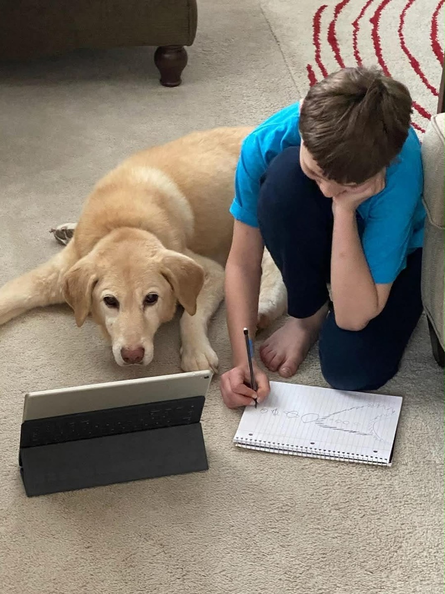 Bailey — photo 8 of 18