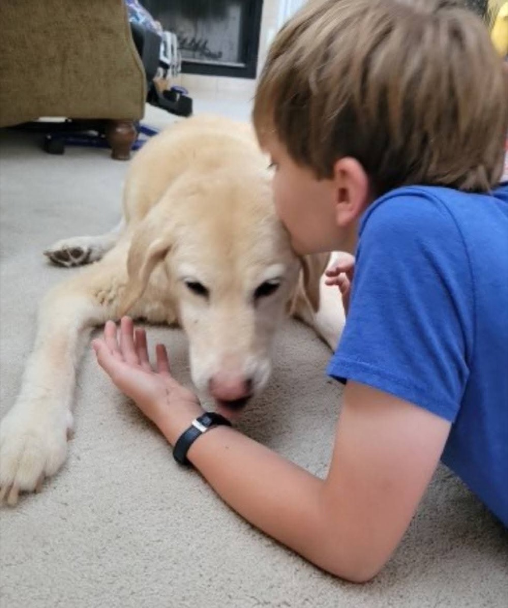 Bailey — photo 9 of 18