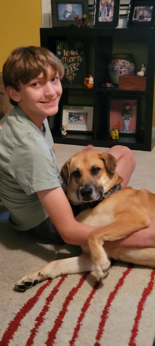 Benji — photo 10 of 14