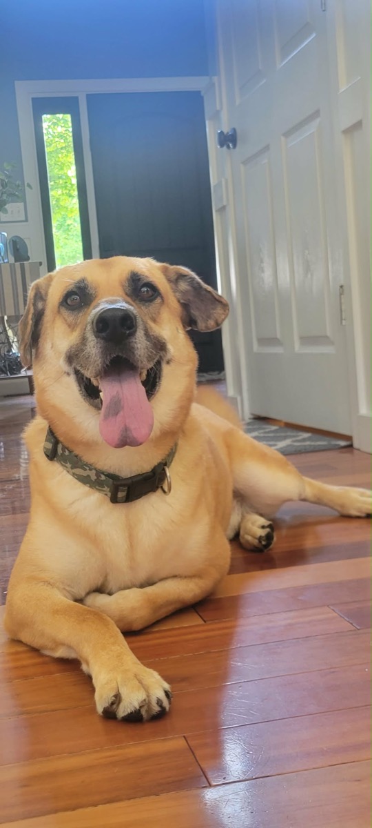 Benji — photo 11 of 14