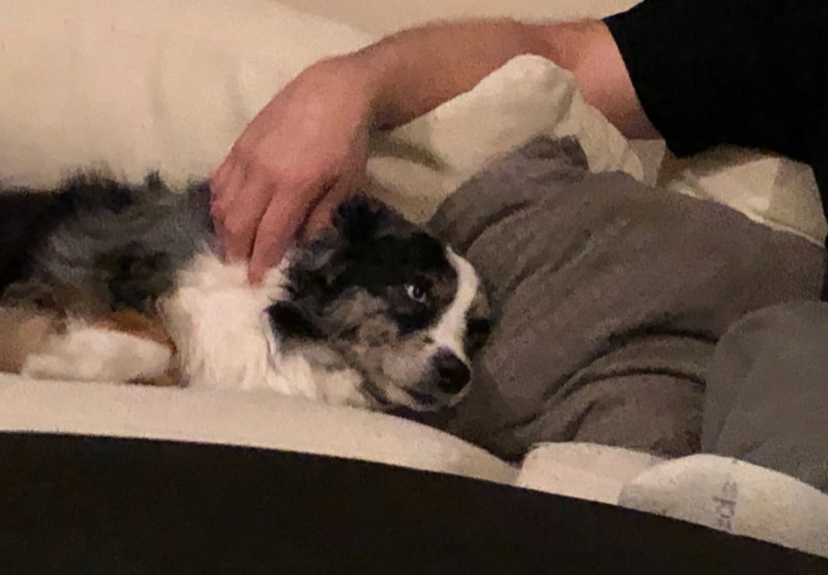 Cleo — photo 2 of 2
