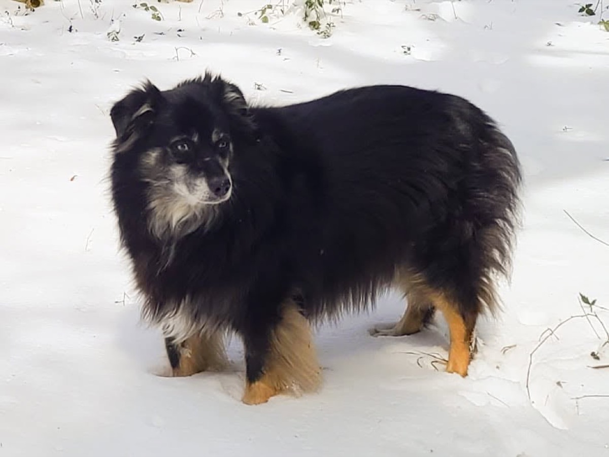 Dyna — photo 3 of 3