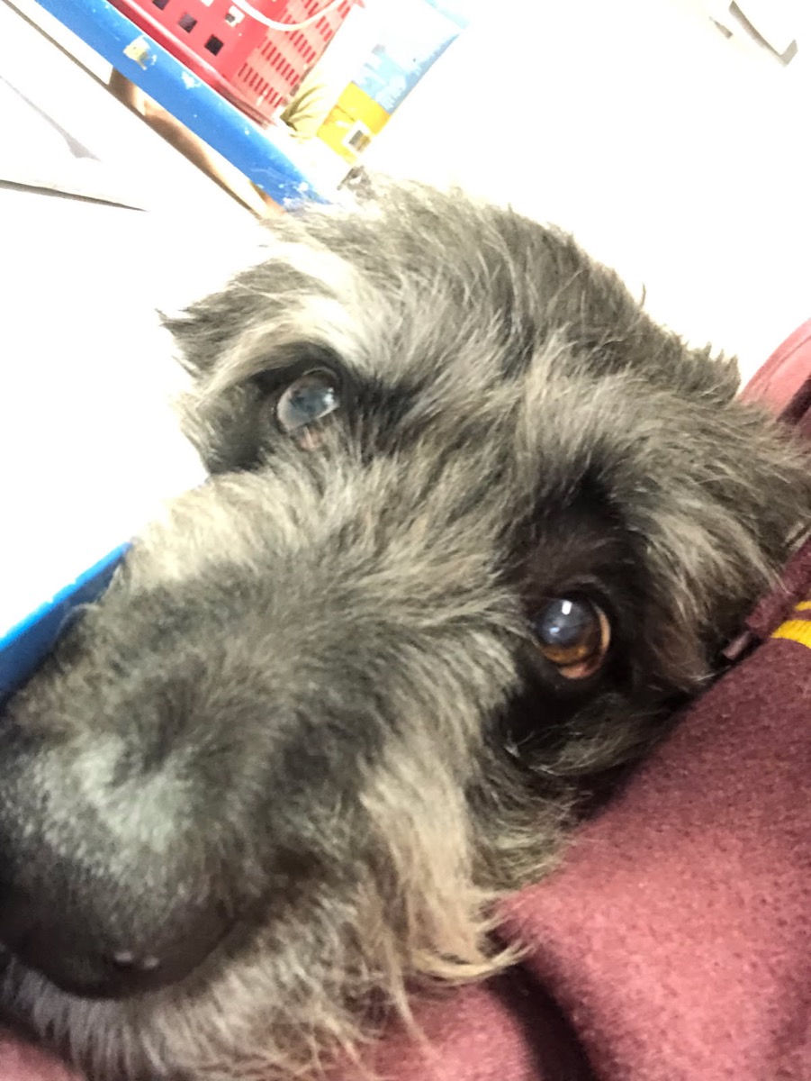 Jack — photo 2 of 3