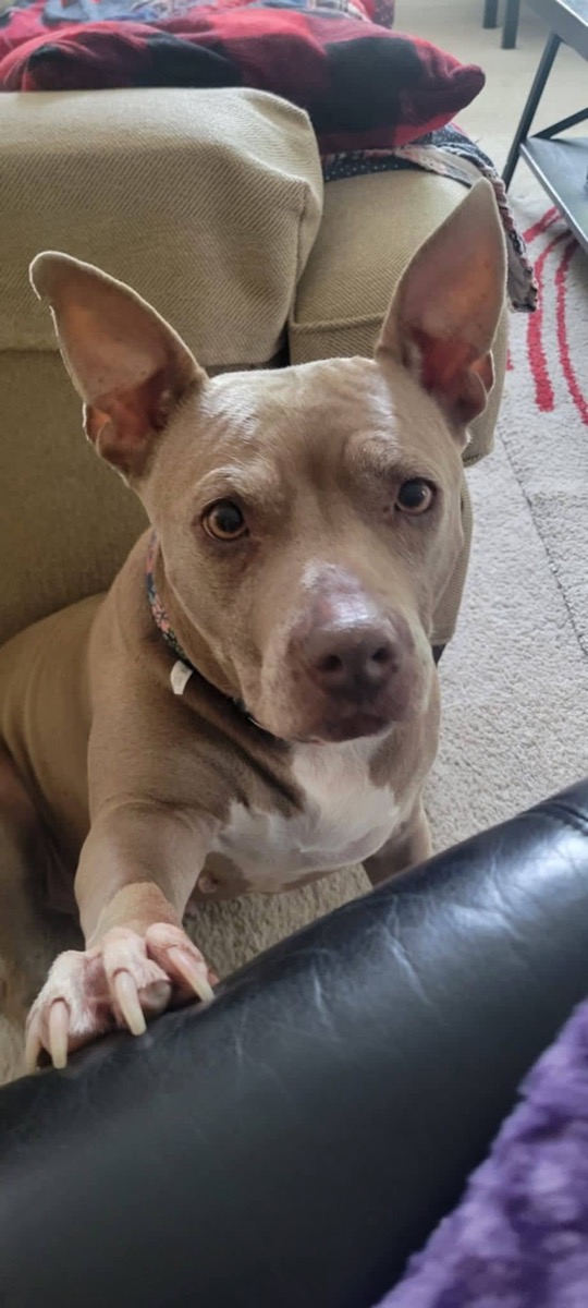 Lila — photo 2 of 10
