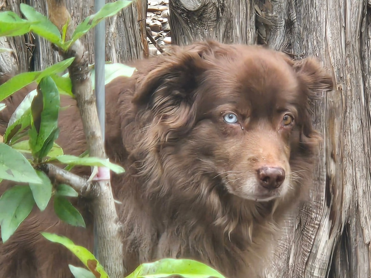 Little Bear — photo 2 of 3