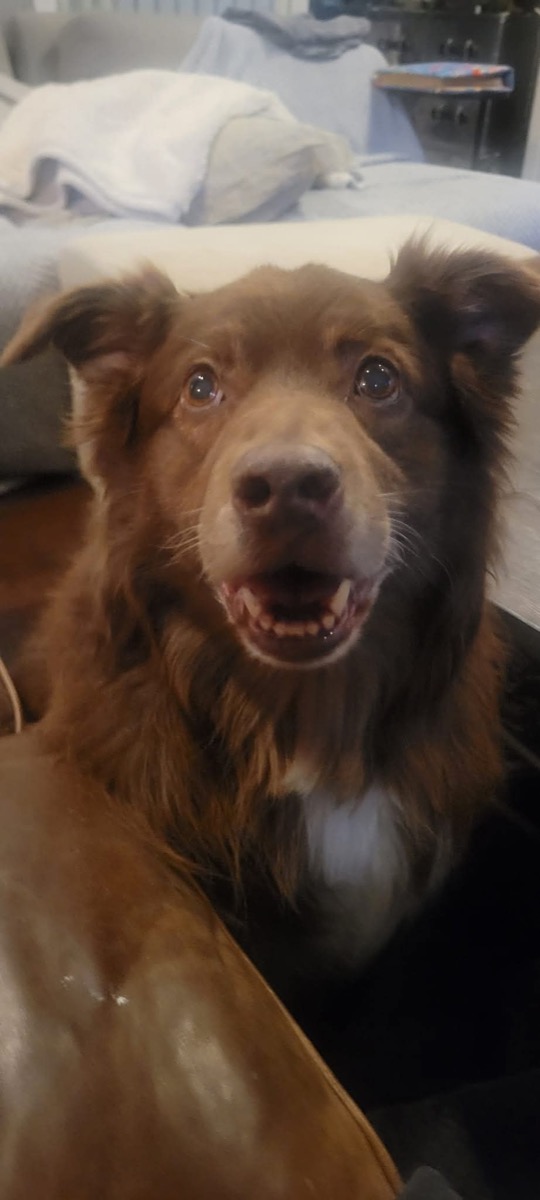 Max