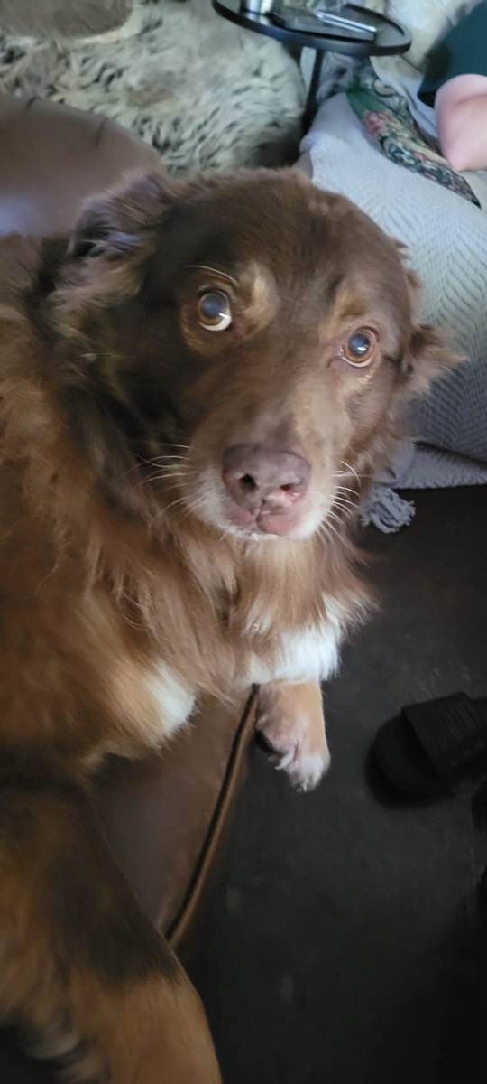 Max — photo 2 of 7