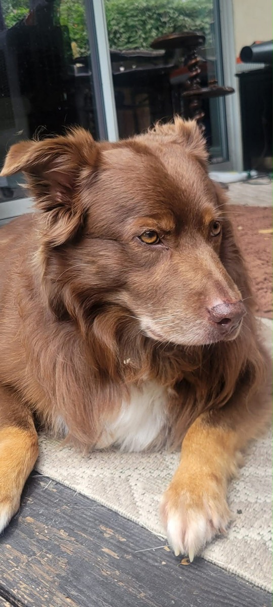 Max — photo 5 of 7