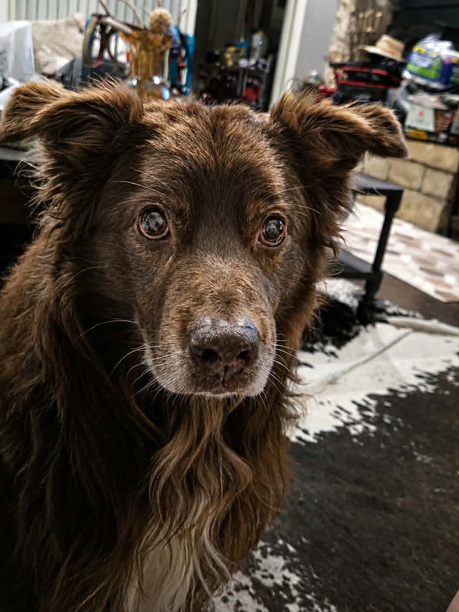 Max — photo 6 of 7