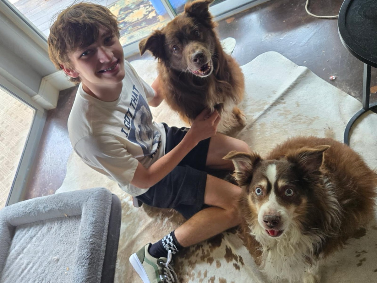 Max — photo 7 of 7