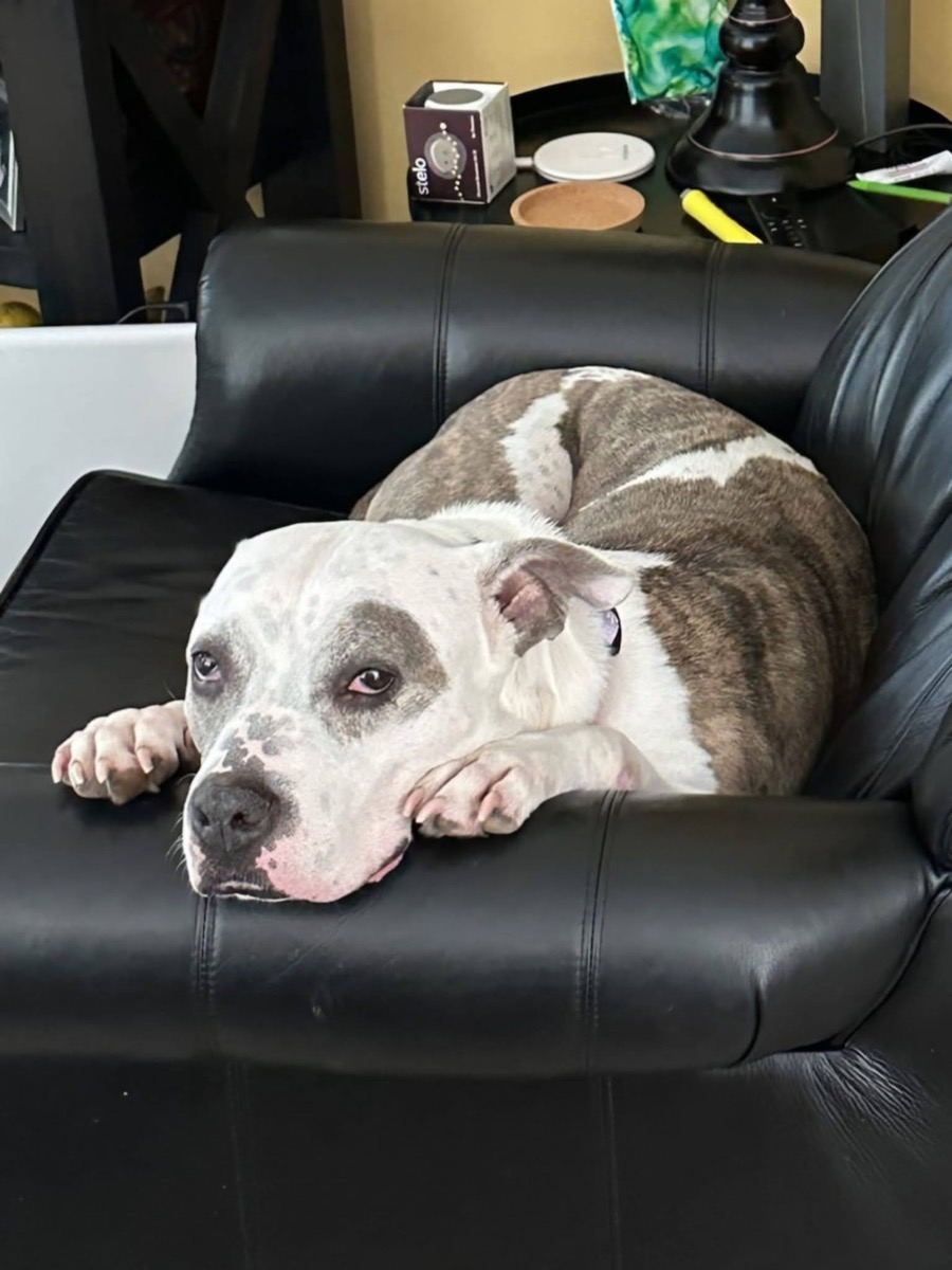 Mya — photo 2 of 3