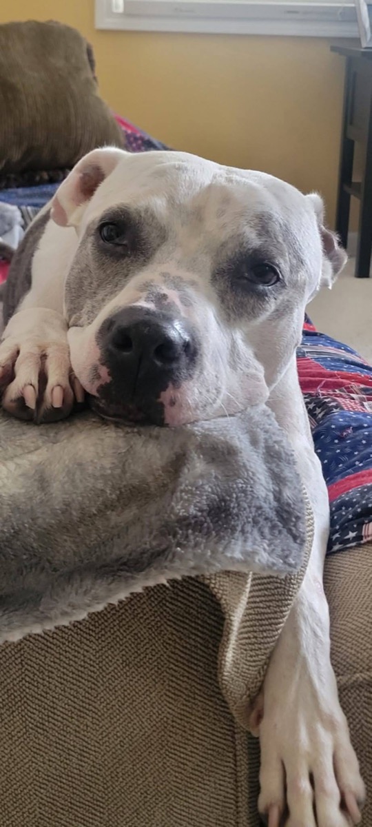 Mya — photo 3 of 3
