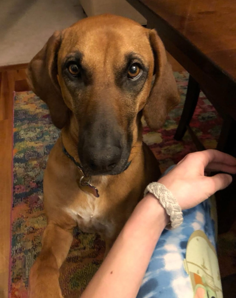 Rhetta — photo 11 of 11