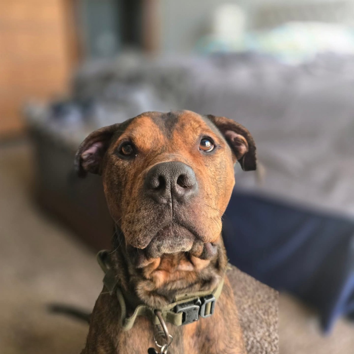 Zoey & Beanie — photo 4 of 12